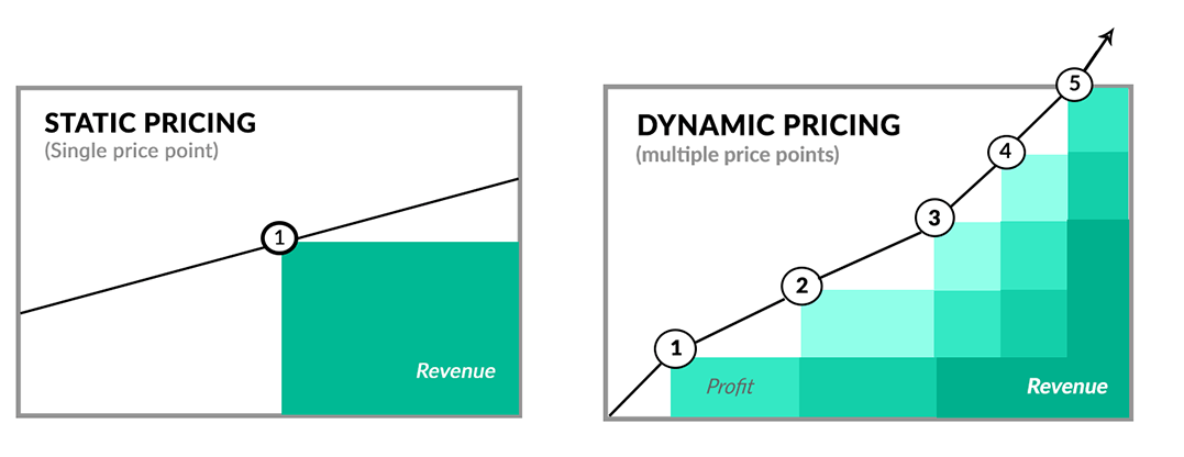 static price vs dynamic price